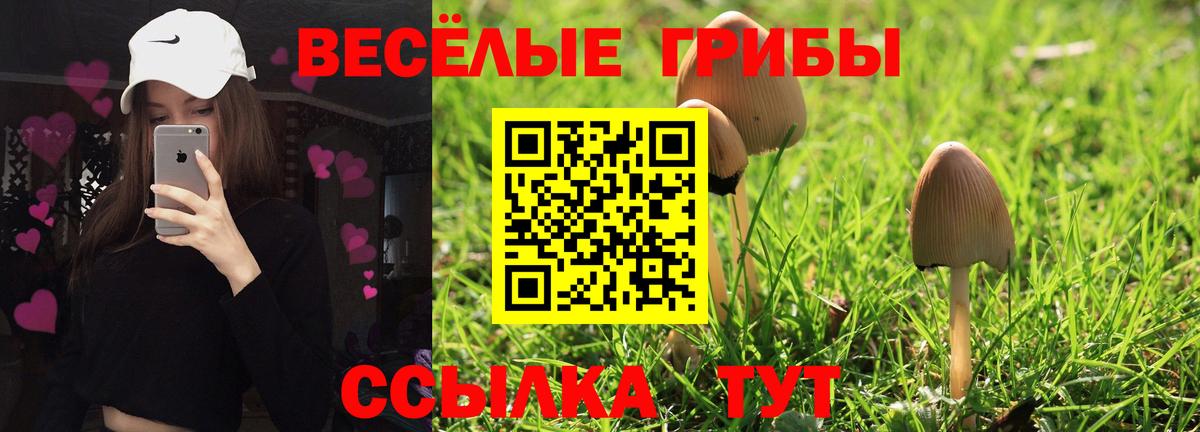 Галлюциногенные грибы мухоморы Тихорецк