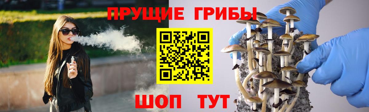 Тихорецк  наркошоп  Вход с VPN  Псилоцибиновые грибы ЛСД 